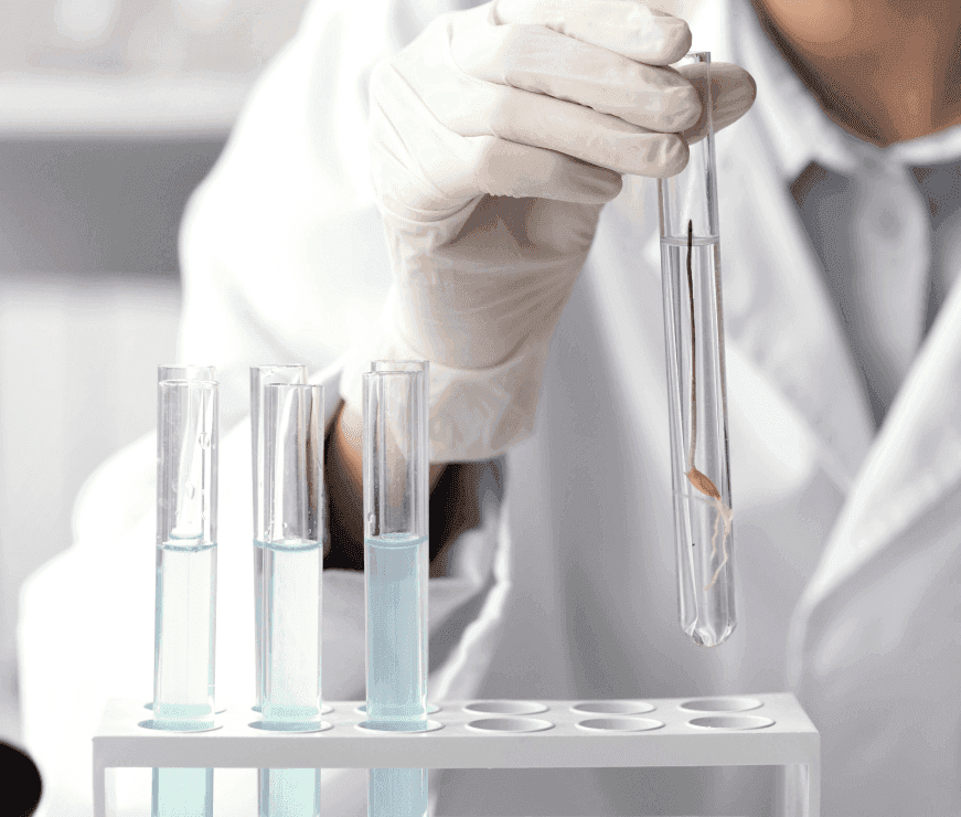 Scientific_research_4e8bd8cad8.png