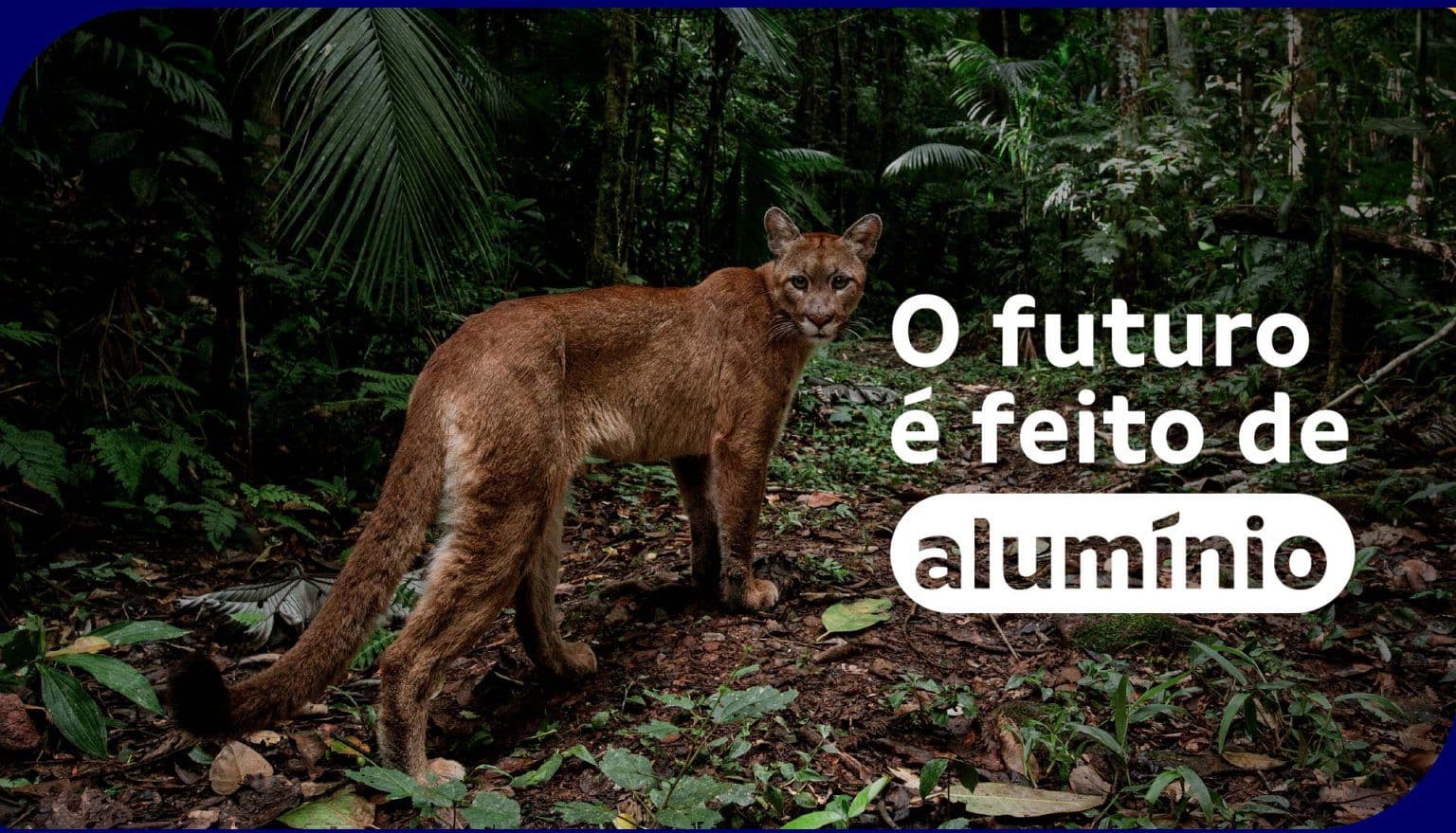 header-alennium.jpg