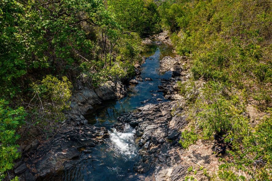 release-sustainability-legado-verdes-do-cerrado.jpg